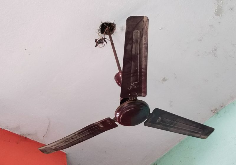 Commercial Ceiling Fan Repair in Littleton, CO